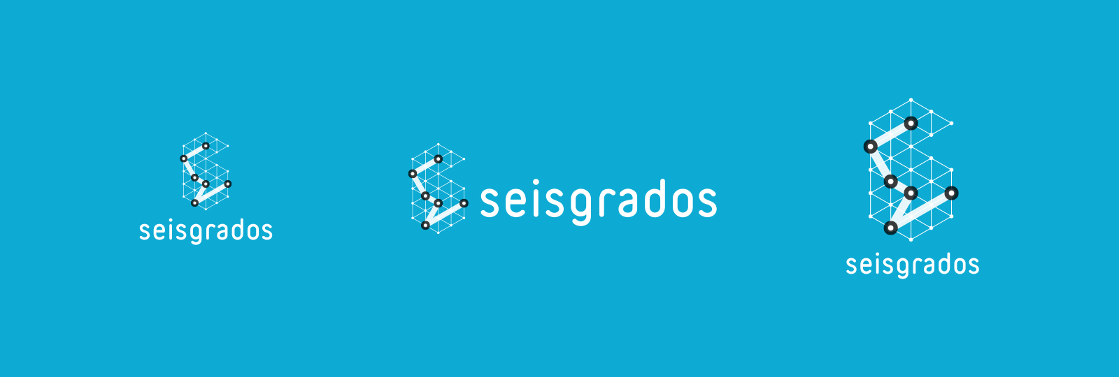 01f1. logo SG (variantes-2)