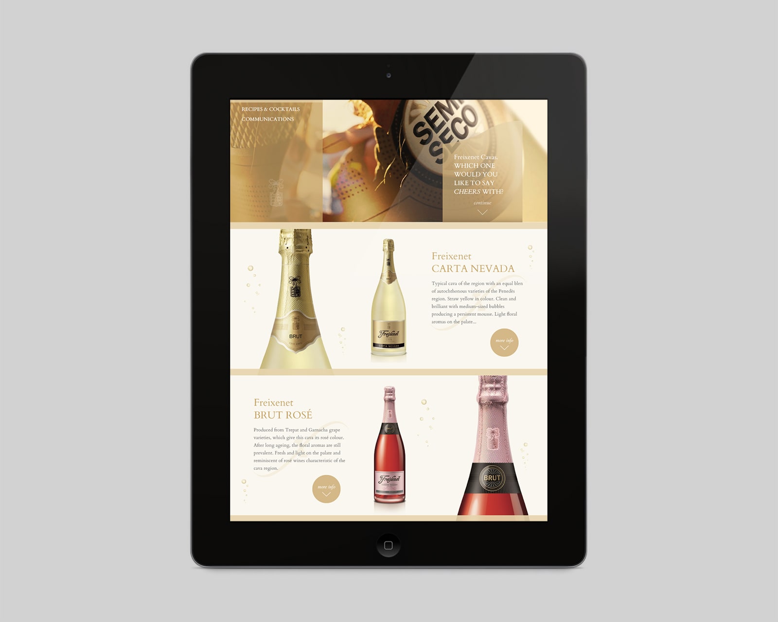 4b. FXT web (product)