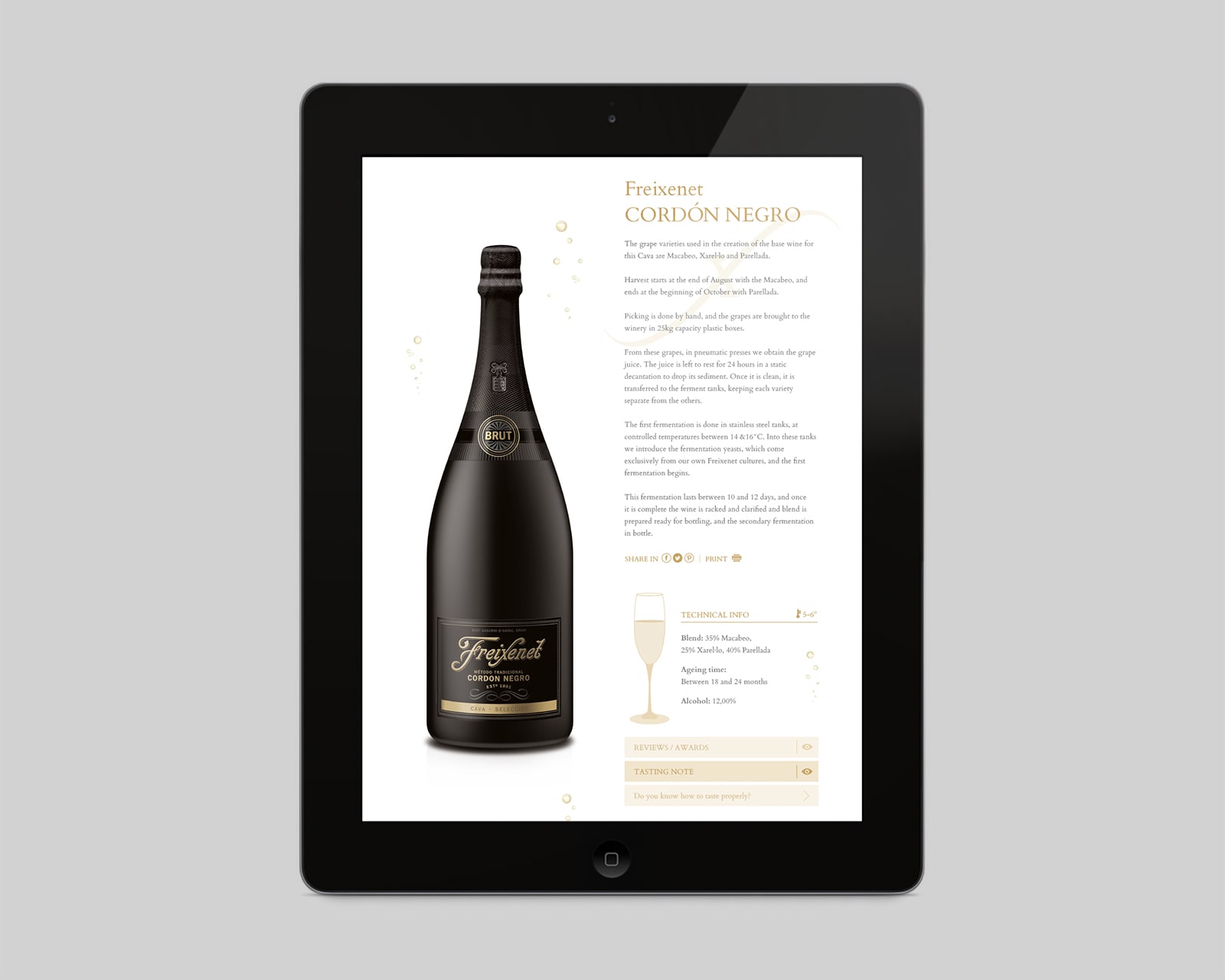 4c. FXT web (ficha product)