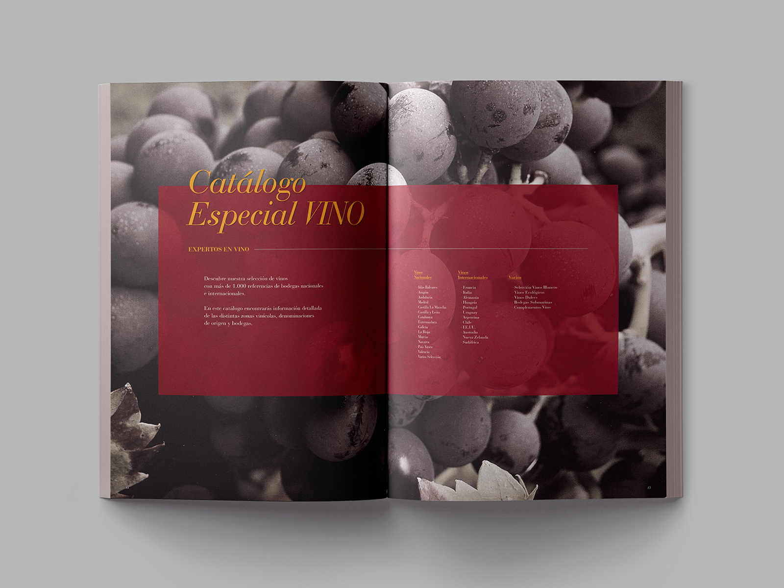 montaje-catalogo-04C